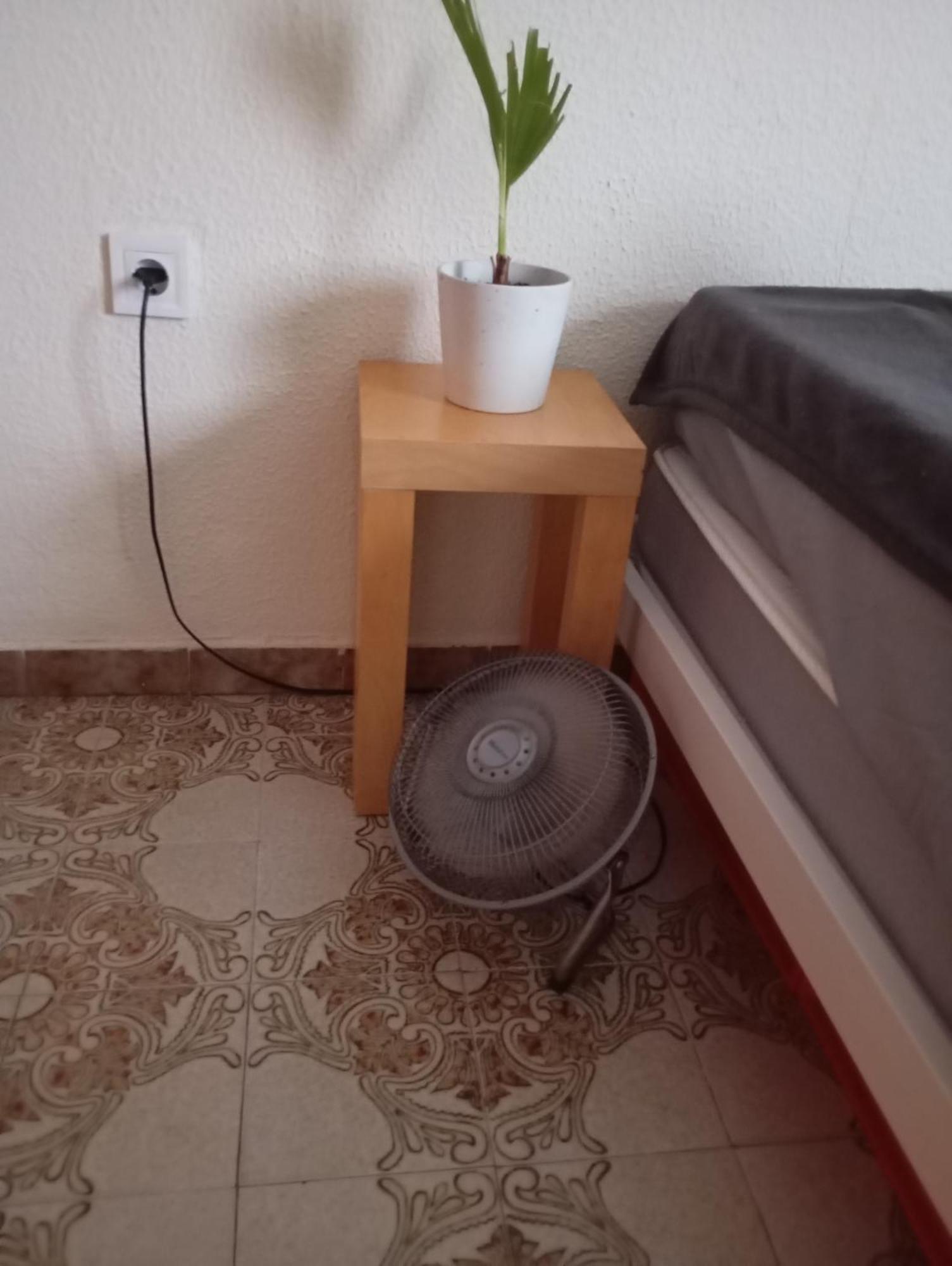 Grosses Modernes Zimmer "Silber" Fuer 2 Personen Und Katzenliebhaber Valencia Kültér fotó