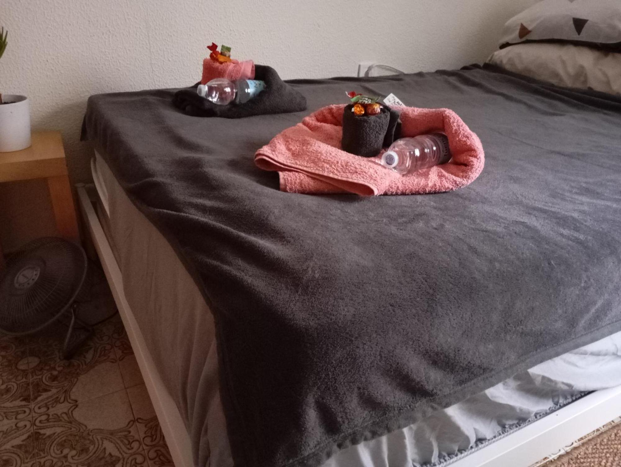 Grosses Modernes Zimmer "Silber" Fuer 2 Personen Und Katzenliebhaber Valencia Kültér fotó